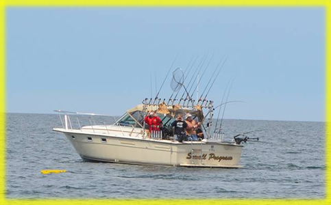 lake erie PA fishing charter trolling for walleye